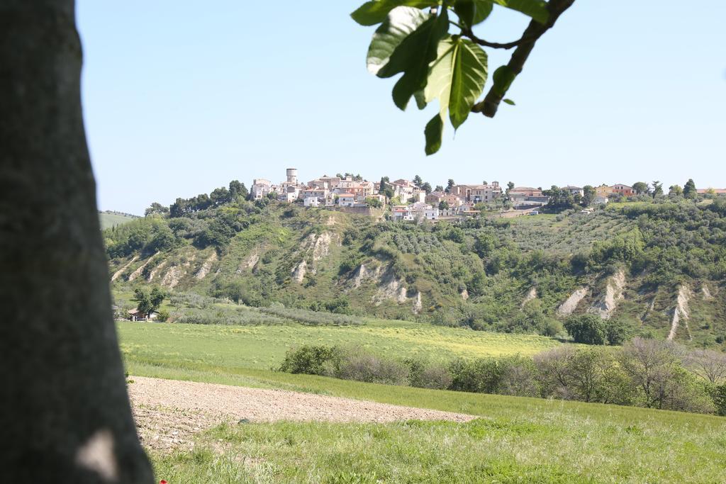 La Locanda Del Picchio Country House Morro dʼOro Exterior foto